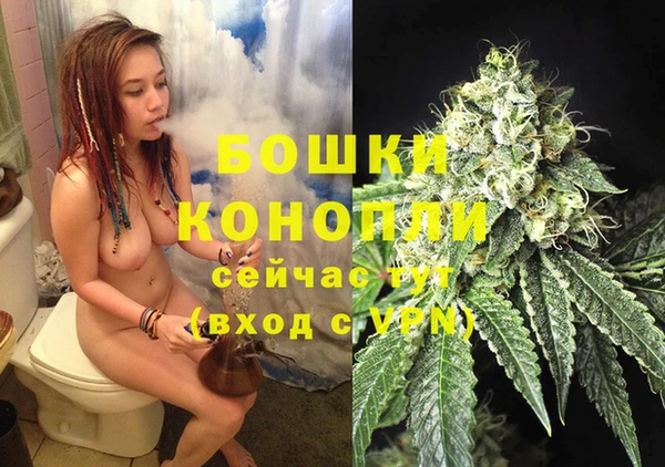 2c-b Богородск