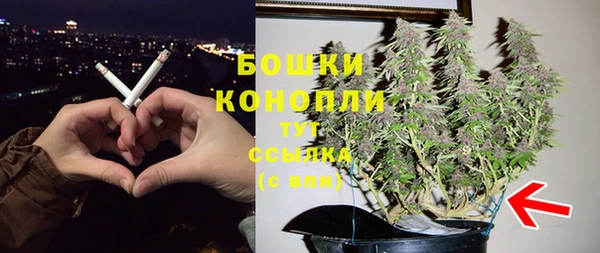 2c-b Богородск