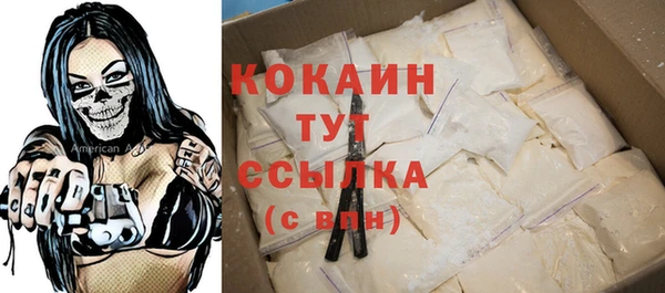 хмурый Богородицк